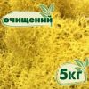 Очищенный стабилизированный мох ягель Nordic moss Желтый классический 5 кг