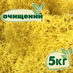 Очищенный стабилизированный мох ягель Nordic moss Желтый классический 5 кг