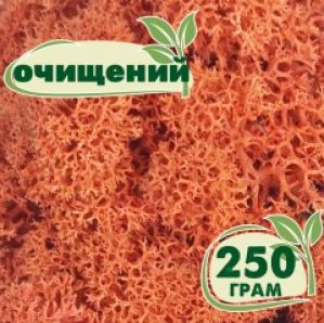 Очищенный стабилизированный мох ягель Nordic moss Сиена 250 грамм