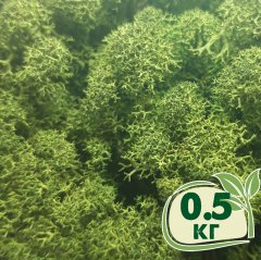 Стабилизированный мох ягель Nordic moss Зеленый темный 0