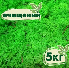 Очищенный стабилизированный мох ягель Nordic moss Зеленый травяной светлый 5 кг