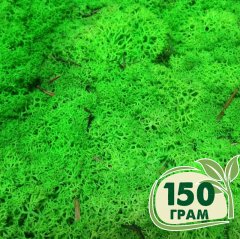 Стабилизированный мох ягель Nordic moss Зеленый травяной светлый 150 грамм