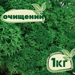Очищенный стабилизированный мох ягель Nordic moss Зеленый травяной темный 1 кг