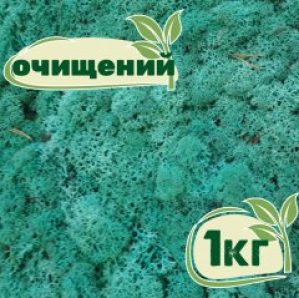 Очищенный стабилизированный мох ягель Nordic moss Изумрудный 1 кг