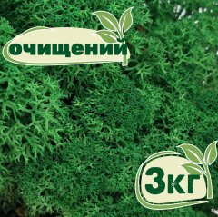 Очищенный стабилизированный мох ягель Nordic moss Зеленый травяной темный 3 кг