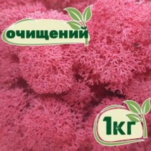 Очищенный стабилизированный мох ягель Nordic moss Цикламен 1 кг