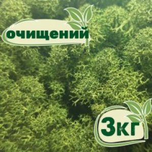 Очищенный стабилизированный мох ягель Nordic moss Зеленый темный 3 кг