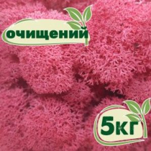 Очищенный стабилизированный мох ягель Nordic moss Цикламен 5 кг