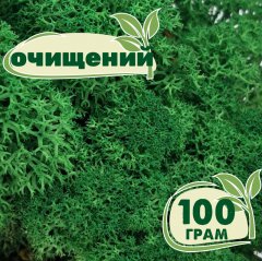 Очищенный стабилизированный мох ягель Nordic moss Зеленый травяной темный 100 грамм