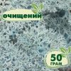 Очищенный стабилизированный мох ягель Nordic moss Ледяной голубой 50 грамм