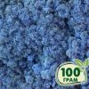 Стабилизированный мох ягель Nordic moss Лавандовый 100 грамм