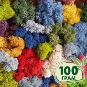 Стабилизированный мох ягель Nordic moss Микс 100 грамм