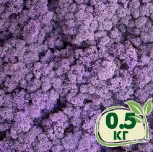 Стабилизированный мох ягель Nordic moss Эрика 0