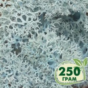 Стабилизированный мох ягель Nordic moss Ледяной голубой 250 грамм