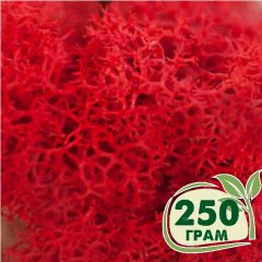 Стабилизированный мох ягель Nordic moss Красный 250 грамм