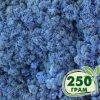 Стабилизированный мох ягель Nordic moss Лавандовый 250 грамм