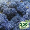 Стабилизированный мох ягель Nordic moss Синий лазурный 250 грамм