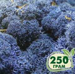 Стабилизированный мох ягель Nordic moss Синий лазурный 250 грамм