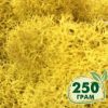 Стабилизированный мох ягель Nordic moss Желтый классический 250 грамм