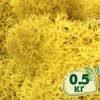 Стабилизированный мох ягель Nordic moss Желтый классический 0