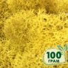 Стабилизированный мох ягель Nordic moss Желтый классический 100 грамм