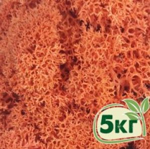 Стабилизированный мох ягель Nordic moss Сиена 5 кг