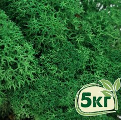 Стабилизированный мох ягель Nordic moss Зеленый травяной темный 5 кг