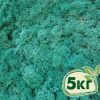 Стабилизированный мох ягель Nordic moss Изумрудный 5 кг