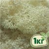 Стабилизированный мох ягель Nordic moss Натуральный белый 1 кг