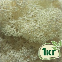 Стабилизированный мох ягель Nordic moss Натуральный белый 1 кг