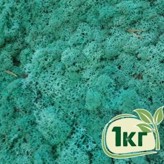 Стабилизированный мох ягель Nordic moss Изумрудный 1 кг