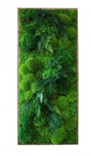 Картина з моху h 100 L 50 см