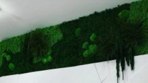 Панно из стабилизированного мха h40 L150 cm