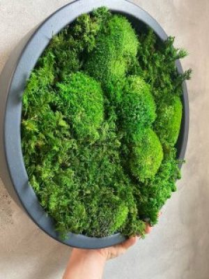 Картина из стабилизированного мха Ø35 см