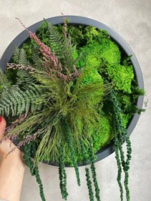 Картина из стабилизированного мха и растений d 30 см