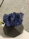 Мох синий в бетонном кашпо Concrete 12 cm