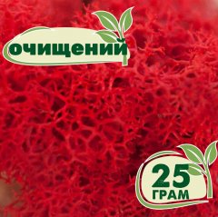 Очищенный стабилизированный мох ягель Nordic moss Красный 25 грамм