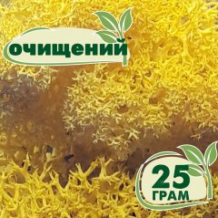 Очищенный стабилизированный мох ягель Nordic moss Желтый лимонный 25 грамм