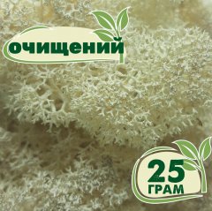 Очищенный стабилизированный мох ягель Nordic moss Натуральный белый 25 грамм