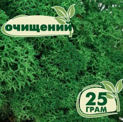 Очищенный стабилизированный мох ягель Nordic moss Зеленый травяной темный 25 грамм