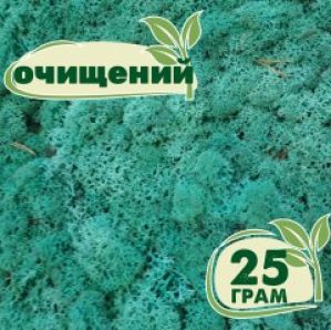 Очищенный стабилизированный мох ягель Nordic moss Изумрудный 25 грамм