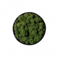 Стабилизированный темно-зеленый мох Ягель в деревянной раме Etoile Flora 16 см (L-0692-S)