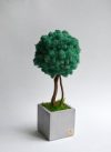 Дерево из стабилизированного мха пасифик Etoile Flora (TBLIC/0587)