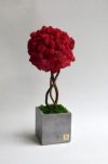 Дерево из стабилизированного мха фуксия Etoile Flora (TBLIC/0572)