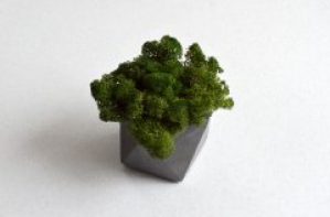 Стабилизированный мох темно-зеленый в бетонном кашпо Etoile Flora (GLIC/0554)