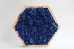 Соты со стабилизированным мхом Ягель синий Etoile Flora 35 см (L86-0356)