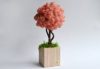 Дерево из розового стабилизированного мха в деревянном кашпо Etoile Flora (ТМ-1006-S)