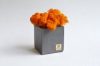 Бетонный куб Etoile Flora с стабилизированным мхом оранжевый (BK51-1009)