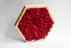 Соты со стабилизированным красным мхом Ягель Etoile Flora 35 см (L57-0356)