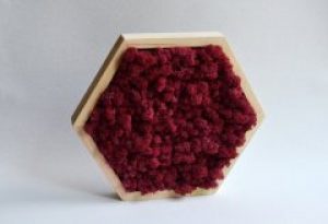 Соты со стабилизированным мхом Ягель бургунди Etoile Flora 35 см